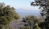 Trail Walking Saint-Laurent-de-Carnols - la chartreuse de valbonne - Photo 7