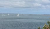 Tocht Stappen Arzon - PR_56_Arzon_AA_01_Pointes-Du-Golfe_Circuit1b_20230501 - Photo 10