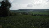 Percorso Mountainbike Virton - Montquintin et Villers-la-Loue - Balade_VTT_19Kms - Photo 10