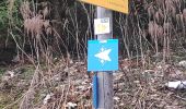 Trail Walking Les Avanchers-Valmorel - Valmorel par l'Ormay - Photo 6