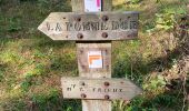 Trail Nordic walking Dannes - Mont saint frieux  - Photo 12