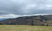 Tocht Stappen Basse-sur-le-Rupt - Piquante Pierre, col de Ménufosse, tourbière de Jemnaufaing - Photo 2