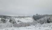 Trail Walking Tenneville - rando wyompont 11-01-2026 - Photo 18