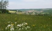 Trail On foot Trooz - Les hauteurs de Fraipont (Trooz) - Photo 1