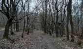Trail Walking Chaudfontaine - tour du bois de la rochette - Photo 5