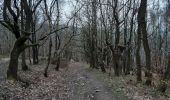 Excursión Senderismo Chaudfontaine - tour du bois de la rochette - Photo 5