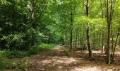 Percorso Marcia Notre-Dame-de-Bondeville - Randonnée en forêt Domaniale de Normandie - Photo 8