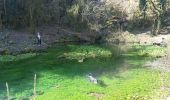 Trail Walking Nant - boucle des canalettes - Photo 18