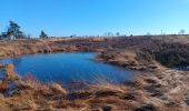 Tocht Stappen Spa - grand tour de la la fagne via chemin didactique - Photo 16