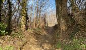 Trail Walking Aarschot - Aarschot 20,5 km - Photo 6