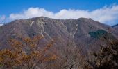 Tocht Te voet Unknown - 鍋割山稜 - Photo 9