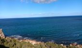 Trail Walking Leucate - leucate . franki plage . leucate - variante - Photo 17