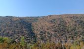 Tocht Stappen Rodès - gorges de la Aguilera . mas pla . tetour par les ruines et Rodes - Photo 8