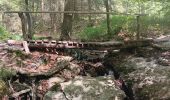 Trail Walking Jalhay - mon 8 de la statte  - Photo 15