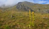 Tocht Stappen Uvernet-Fours - Col de la Cayolle - Circuit des Lacs - Photo 1