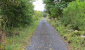 Trail On foot Roscommon Municipal District - Clogher - Photo 7