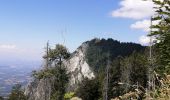 Trail Walking Les Déserts - Mont Revard - Féclaz en boucle - Photo 3