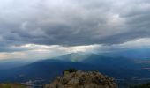 Tour Wandern L'Albère - ullat . piste . puig orella . puig St cristau . puig orella . ullat - Photo 6