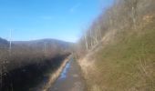 Trail Walking Chaudfontaine - petit tour dans le bois d Embourg - Photo 7