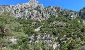 Trail Walking La Palud-sur-Verdon - La palud sur Verdon - Photo 11