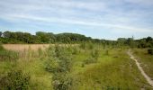 Randonnée A pied Inconnu - Naturlehrpfad obere Lobau (Saltenstraße Rundweg) - Photo 1