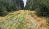 Tour Wandern Vielsalm - Prive - Photo 1