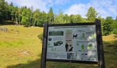 Excursión Senderismo Les Houches - J4 - Les Chavants - Charousse - Vaudagne  - Photo 4