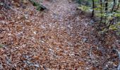 Tocht Stappen La Bastide - coll de palomere - Photo 2