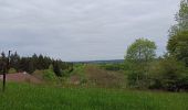 Trail Walking Le Val-d'Ajol - 13-05-23 circuit Outremont - Photo 4