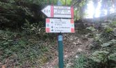 Trail On foot Caprino Bergamasco - Sentiero 808: Località Foppa - Coldara - Photo 6