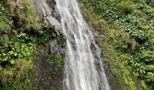 Randonnée Marche nordique Capesterre-Belle-Eau - Chute  - Photo 11