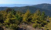 Randonnée Marche Rayol-Canadel-sur-Mer - Le rayon canadel - Route des crètes - Photo 15