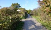 Trail On foot Wirral - Parkgate Walk - Photo 10