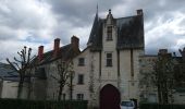 Tour Wandern Langeais - Langeais - PR Saint-Michel-sur-Loire - 20.8km 325m 5h10 (30mn) - 2023 04 15 - Photo 11
