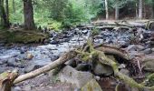 Trail Walking Mont-Dore - LES CASCADES DU SAUT DU LOUP, ROSSIGNOLET ET QUEUREUILH - Photo 6