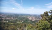 Randonnée Marche Laroque-des-Albères - Les cabanes de Mataporc - Photo 2