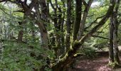 Tocht Stappen Arrigas - Col de l’Homme mort  le Saint Guiral - Photo 9