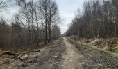 Trail Walking Spa - grand tour de la fagne depuis Malchamps - Photo 3