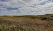 Trail Walking Audresselles - Cran le Noirda - Photo 12