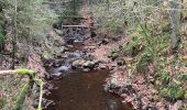 Tour Wandern Malmedy - Ferme Libert - Photo 12