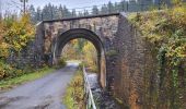 Tour Wandern Florenville - Les Epioux 311023 - Photo 8