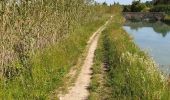 Tour Wandern Cheval-Blanc - la Canebière cricri - Photo 1
