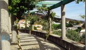Trail On foot Monchique - Árvores da Vila (Rota das Árvores Monumentais) - Photo 3