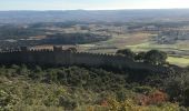 Randonnée Marche Montpeyroux - Montpeyroux Arboras le Castellas - Photo 8