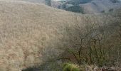 Trail On foot La Roche-en-Ardenne - 2.Champs Thomas - Photo 1