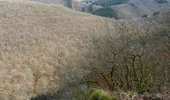 Trail On foot La Roche-en-Ardenne - 1. Crestelles - Photo 9
