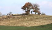 Tour Zu Fuß Sangerhausen - Sangerhausen Lengefeld Morungen - Photo 4