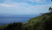 Trail Walking Deiva Marina - Rando cinq terre 1er jour Deiva Marina - Levanto - Photo 11