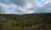 Tour Wandern Thuin - Thuin -Abbaye d’Aulne et retour par la Biesmelle - Photo 3