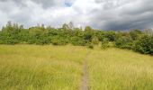 Randonnée Marche Chaudfontaine - bois des dames  - Photo 4